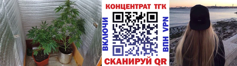 mega рабочий сайт магазин наркотиков Троицк ТГК THC oil