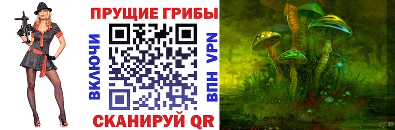 Галлюциногенные грибы прущие грибы  хочу   Троицк 