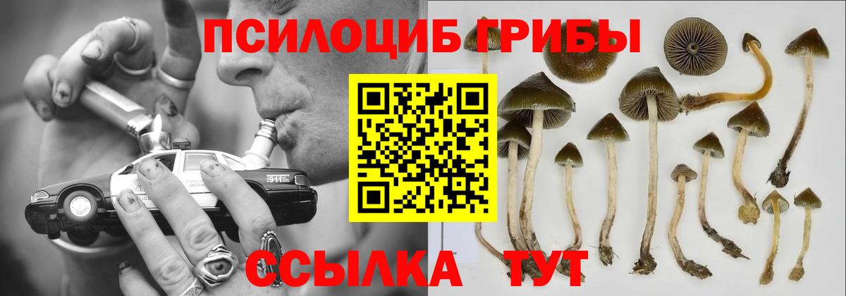 Галлюциногенные грибы Psilocybine cubensis Троицк